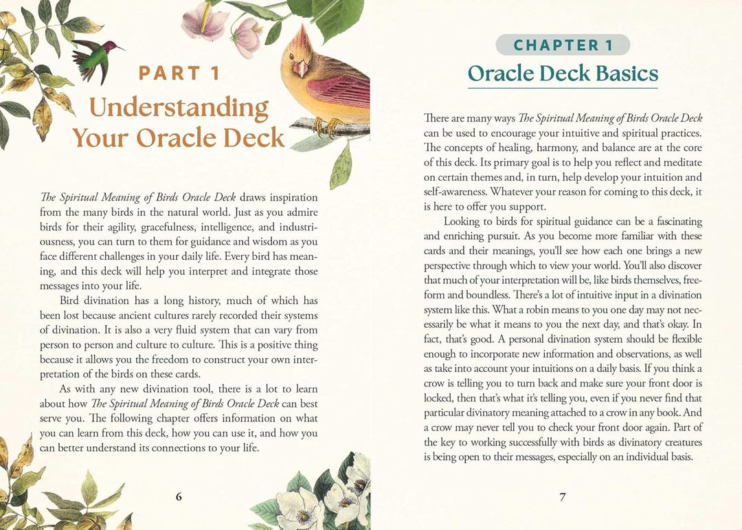 The Spiritual Meaning of Birds Oracle Deck