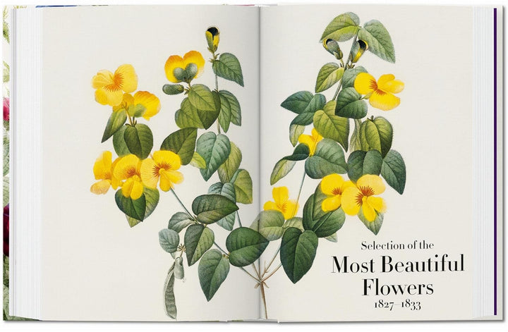 The Book of Flowers