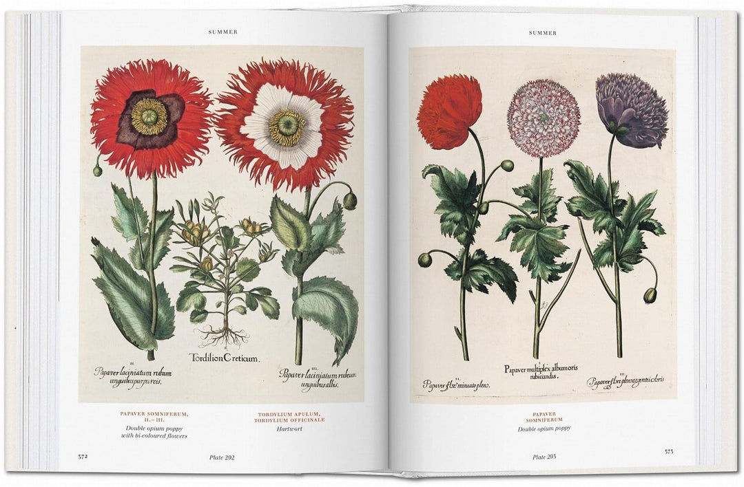 Florilegium: The Book of Plants