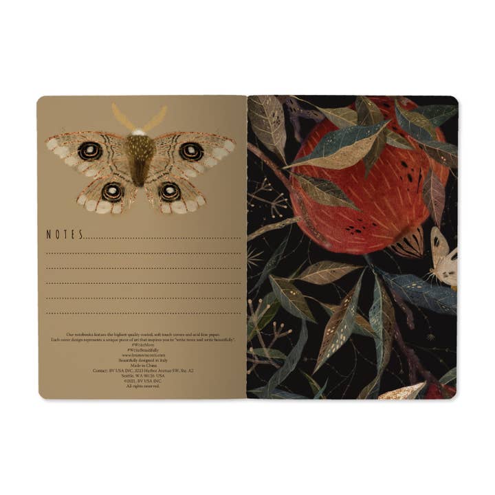 Bruno Visconti Notebooks