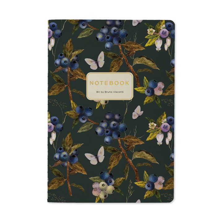 Bruno Visconti Notebooks