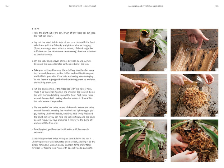 The Inspired Houseplant: A Guide to Modern Indoor Gardening