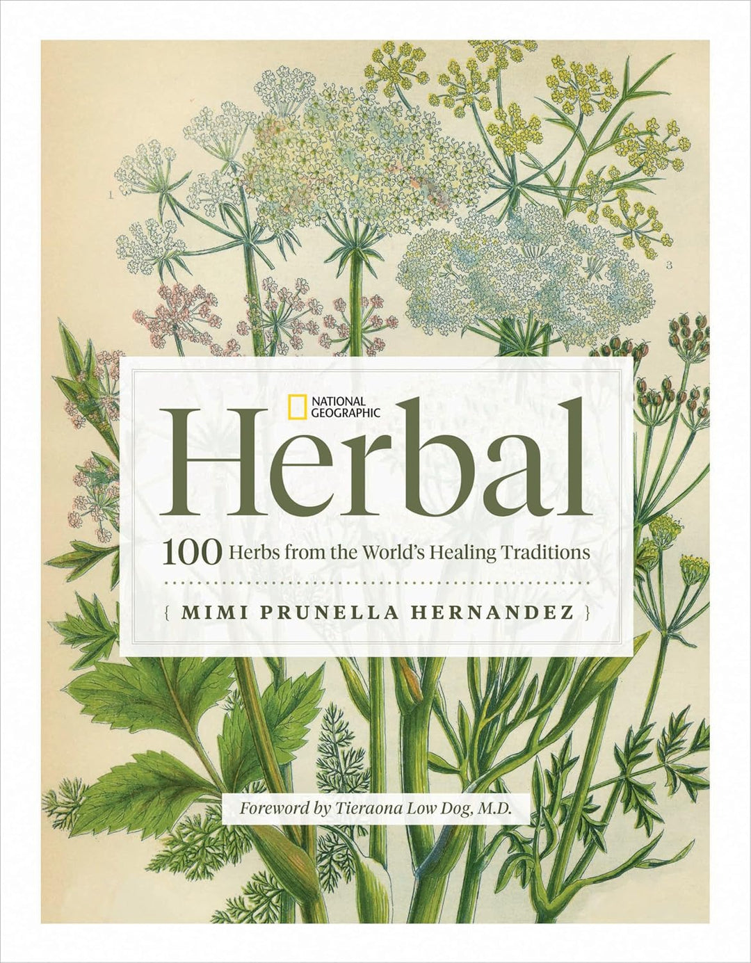 National Geographic Herbal: 100 hierbas de las tradiciones curativas del mundo