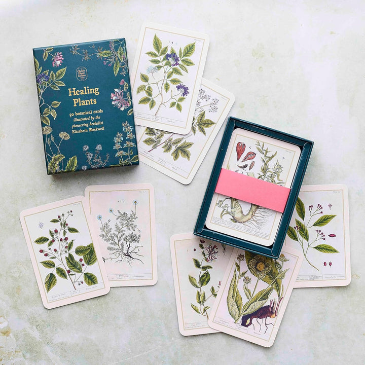 Healing Plants: 50 botanical cards