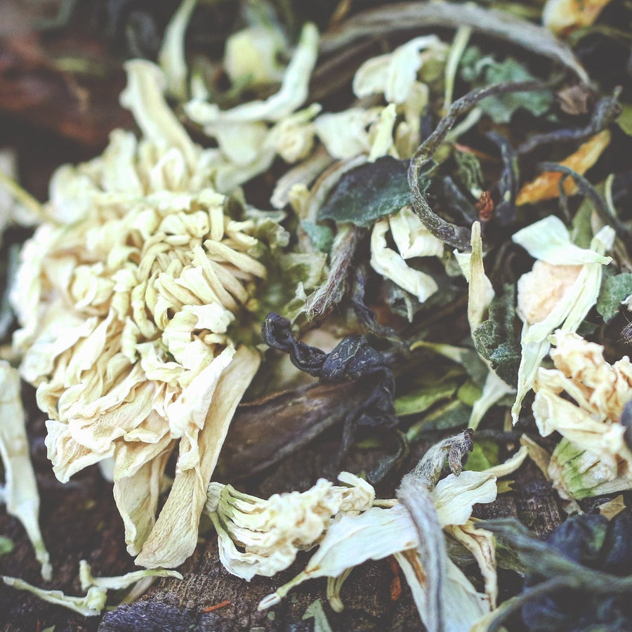 Packaged Teas – Artemis Tea & Botanical