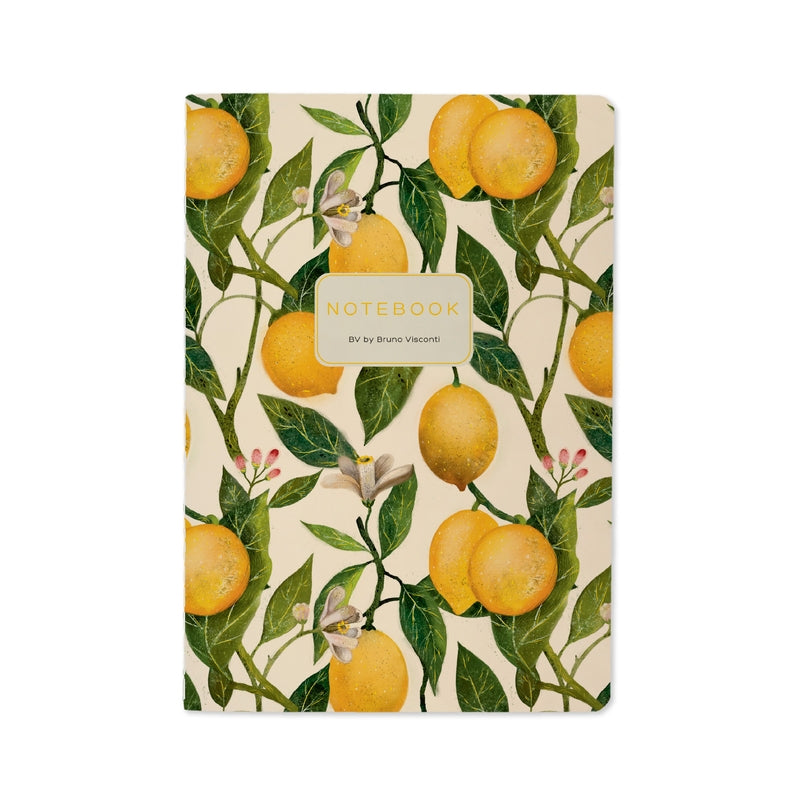 Bruno Visconti Notebooks