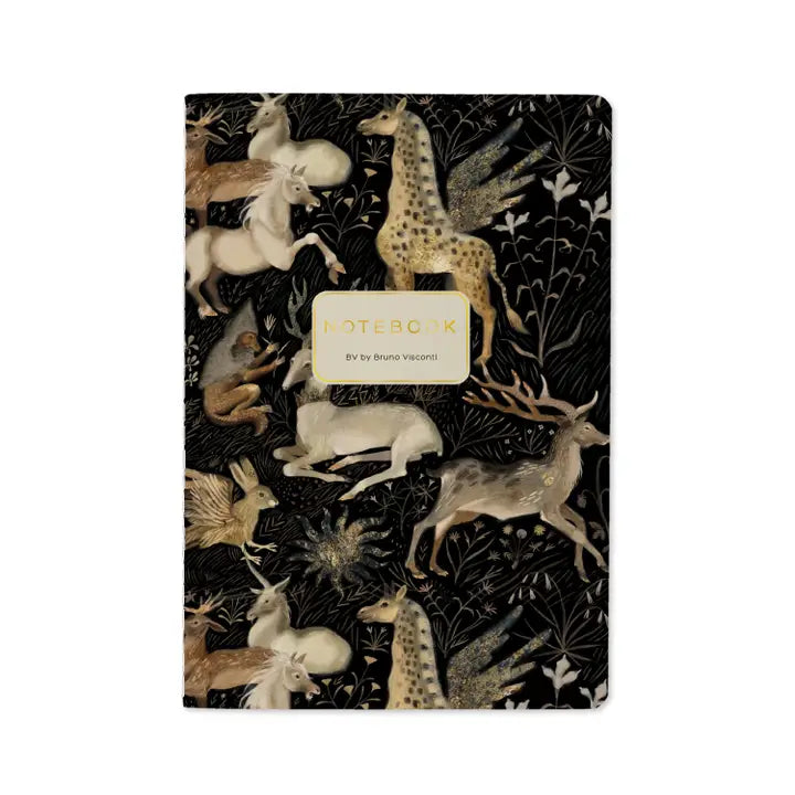 Bruno Visconti Notebooks