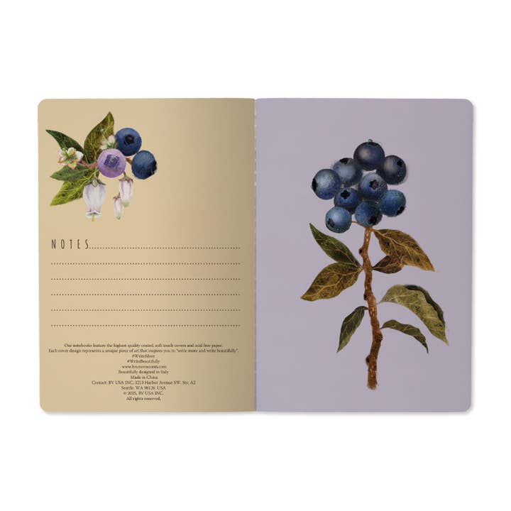 Bruno Visconti Notebooks