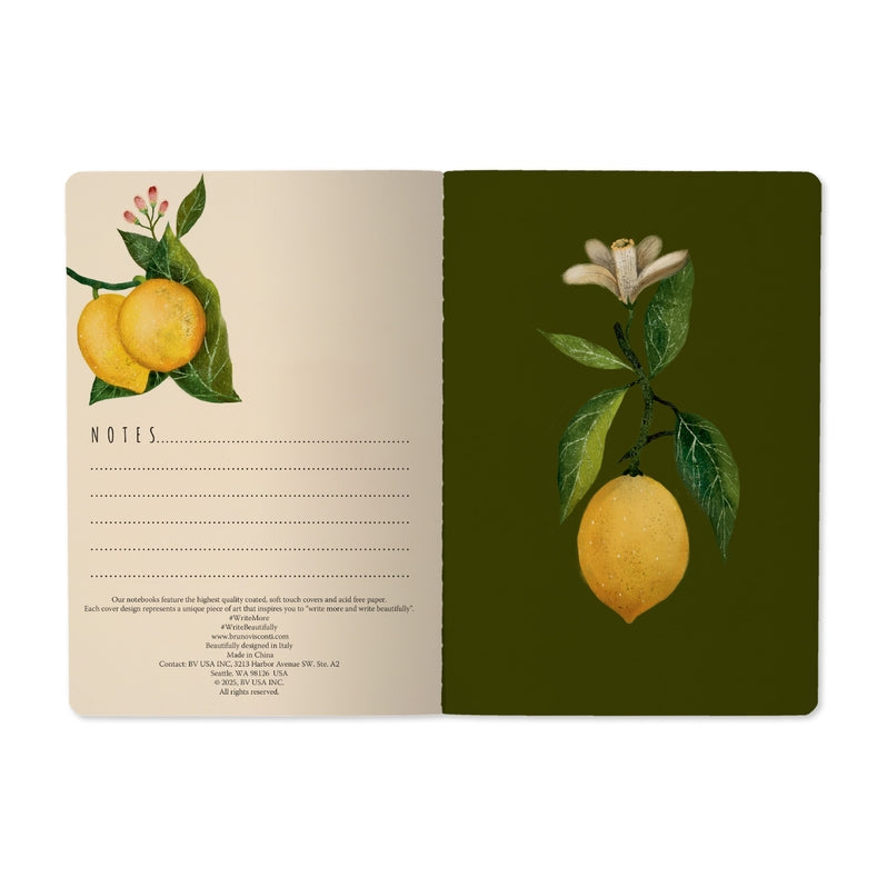 Bruno Visconti Notebooks