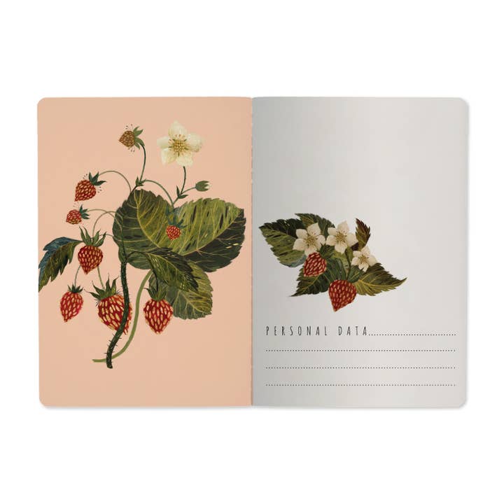 Bruno Visconti Notebooks