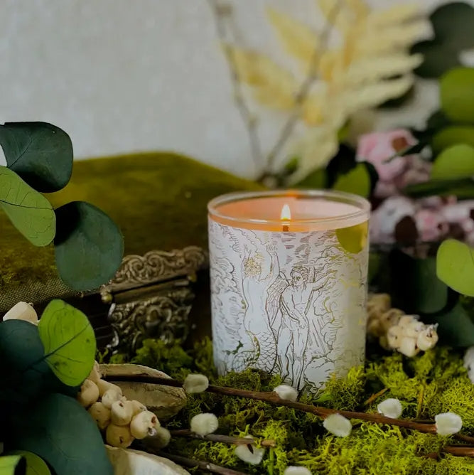 White Collection Candle: Hydra