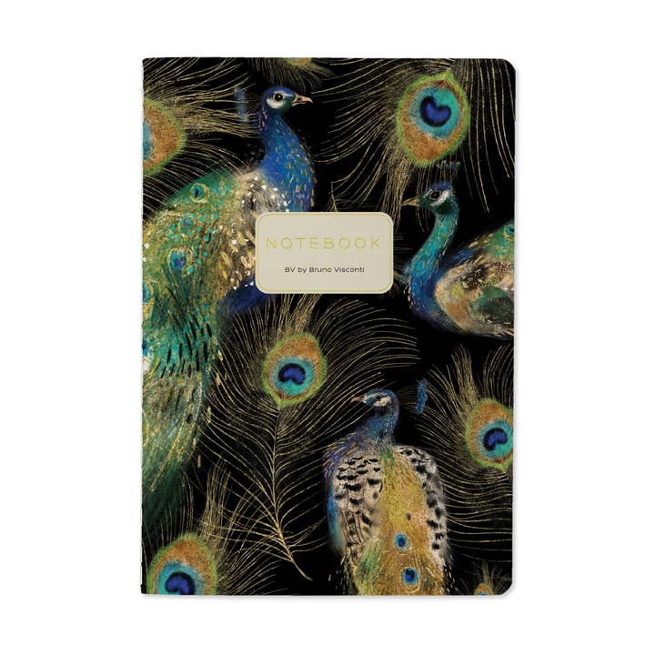 Bruno Visconti Notebooks