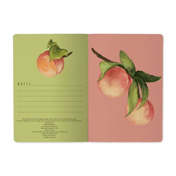 Bruno Visconti Notebooks