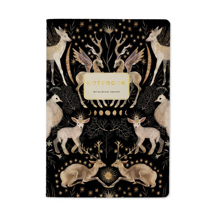 Bruno Visconti Notebooks