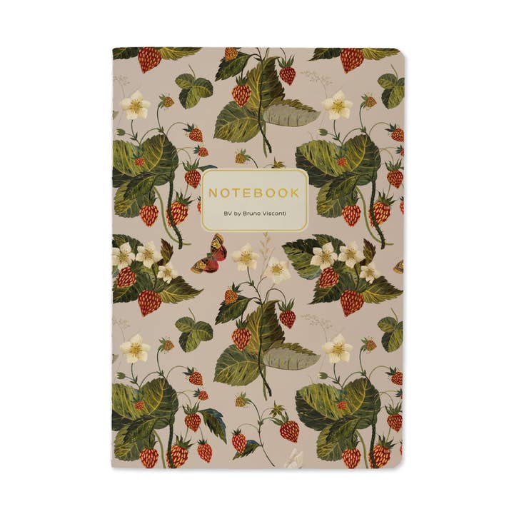 Bruno Visconti Notebooks