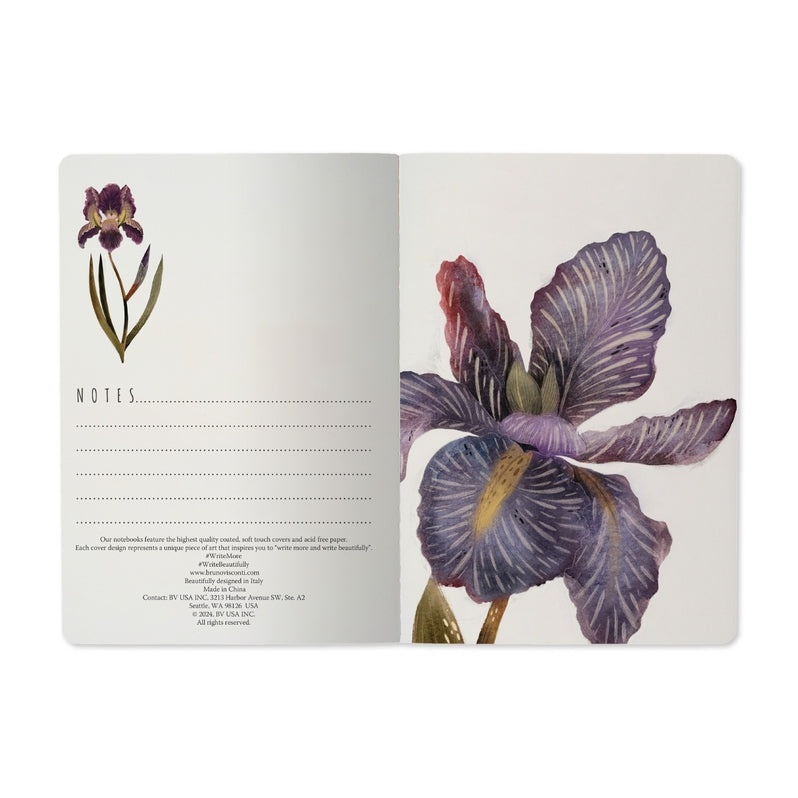 Bruno Visconti Notebooks